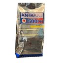 ANTRAK 500PH (BENOMILO) - 1KG