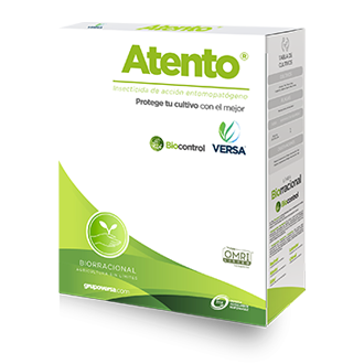 ATENTO (BEAUVERIA BASSIANA) - BOLSA 250GR