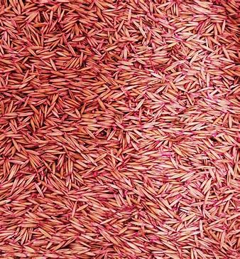 AVENA TURQUESA - 40kg