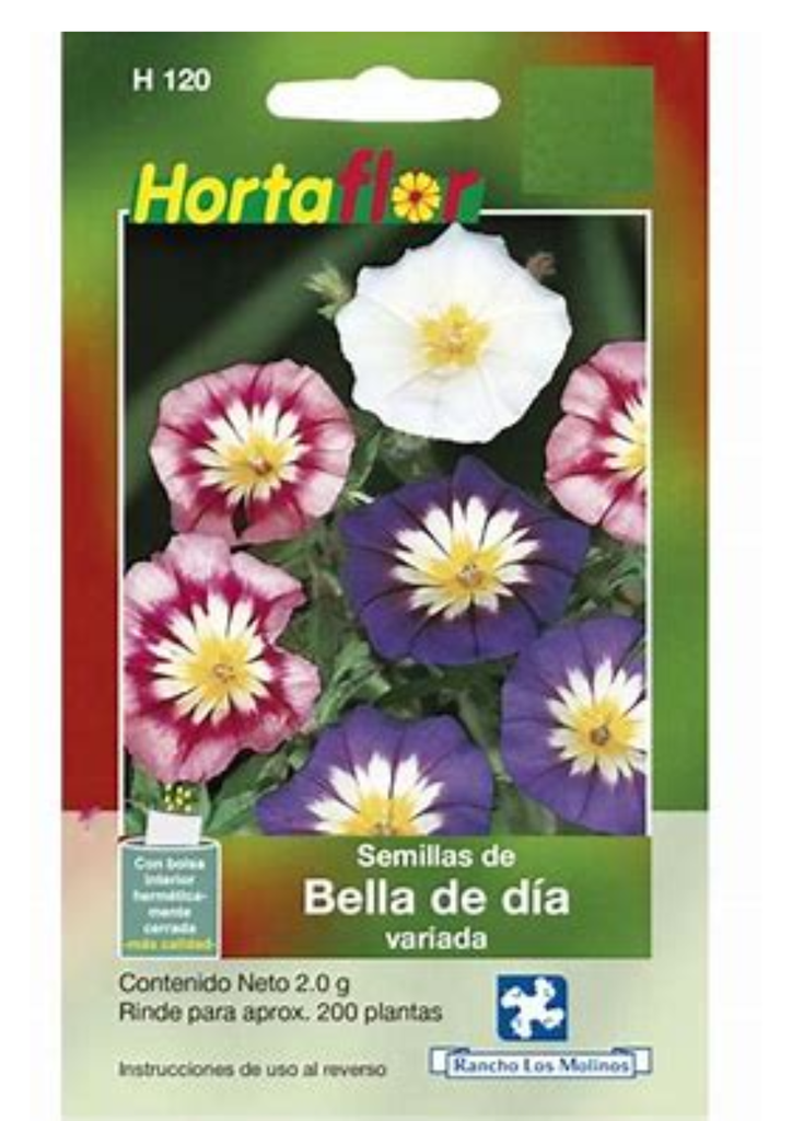BELLA DE DIA VARIADA - SOBRE HORTAFLOR