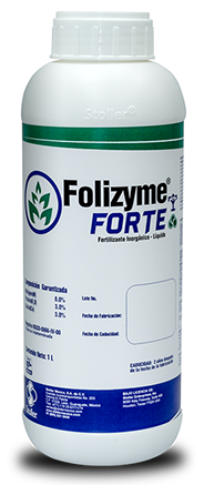 FOLIZYME FORTE - 1L