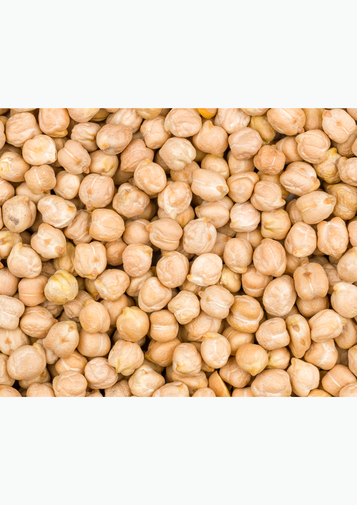 GARBANZO BLANCO SINALOA (BLANORO 92) - SACO 25 KG