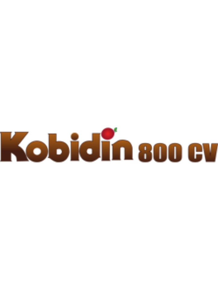 KOBIDIN 800 CV - 1L