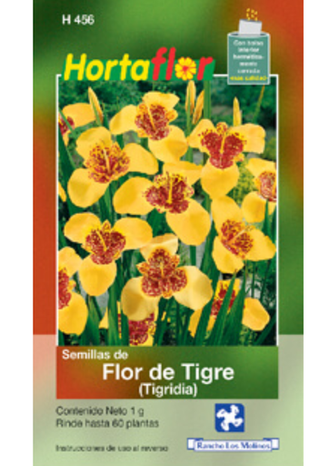 [H456] FLOR DE TIGRE (TIGRIDIA) HORTAFLOR - PIEZA