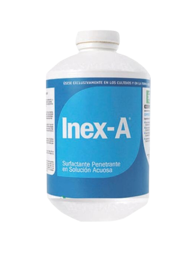 INEX-A - 1L