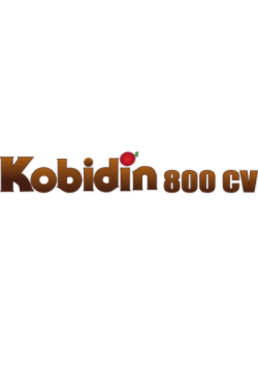KOBIDIN 800 CV - 1L