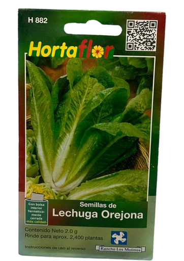 [H882] LECHUGA OREJONA HORTAFLOR