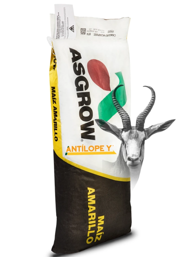 MAIZ ANTILOPE 60M C/PONCHO
