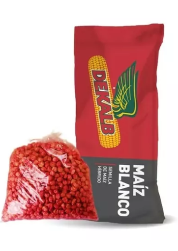 MAIZ DK-2069 60M C/ACCELERON