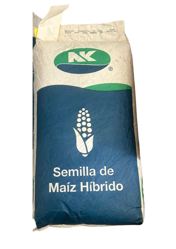 MAIZ NK858W 60MS FDUO