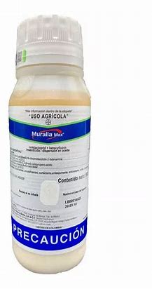 MURALLA MAX - 500ML