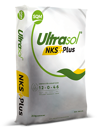 [SVT/PFB/NKS+25] NKS+PLUS - NITRATO DE POTASIO ULTRASOL - SACO 25 KG