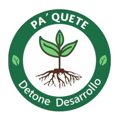 PA'QUETE DETONE DESARROLLO - KIT