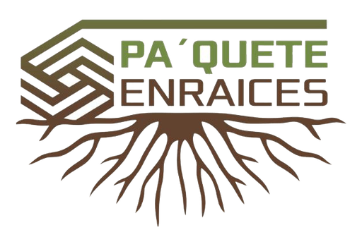 PAQUETE ENRAICES - KIT