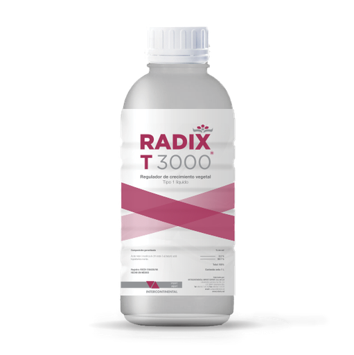 RADIX T3000 - BOTELLA 1 L