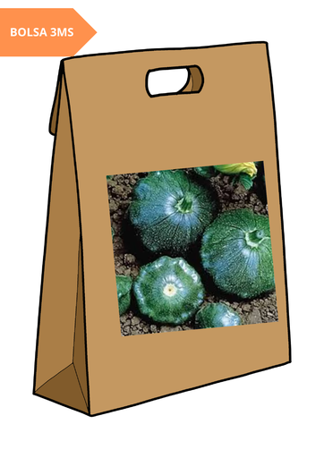 SEMILLA CALABAZA ACONCHADA STARSHIP - BOLSA 3MS