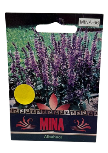 [MINA-66] SEMILLAS DE ALBAHACA - SOBRE MINA