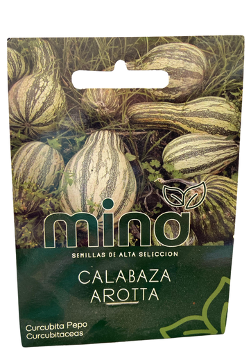 [MINA-8] SEMILLAS DE CALABAZA AROTTA - PIEZA