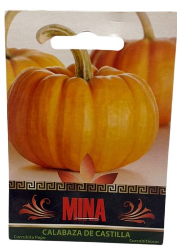 [MINA-7] SEMILLAS DE CALABAZA CASTILLA - PIEZA