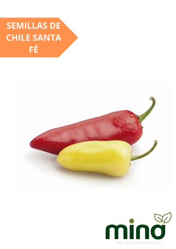 [MINA-72] SEMILLAS DE CHILE SANTA FÉ - SOBRE MINA