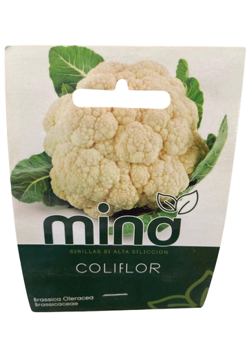 [MINA-16] SEMILLAS DE CLOLIFLOR - SOBRE MINA