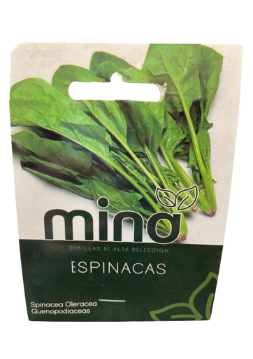 [MINA-28] SEMILLAS DE ESPINACA - SOBRE MINA