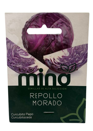 [MINA-46] SEMILLAS DE REPOLLO MORADO - SOBRE MINA