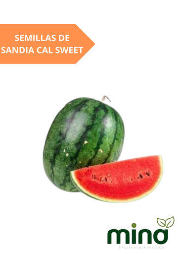 [MINA-50] SEMILLAS DE SANDIA CAL SWEET - SOBRE MINA