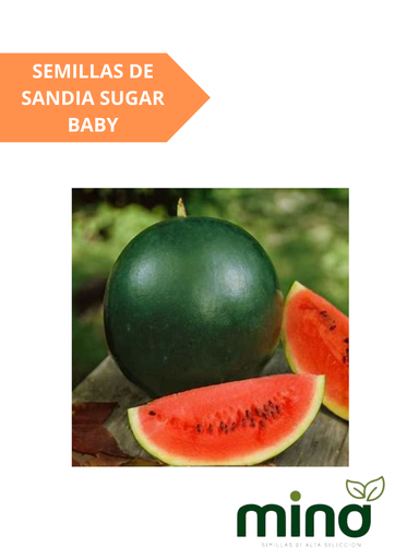 [MINA-74] SEMILLAS DE SANDIA SUGAR BABY - SOBRE MINA