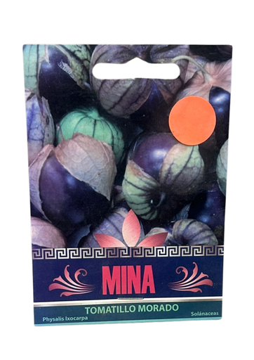 [MINA-53] SEMILLAS DE TOMATILLO MORADO - SOBRE MINA