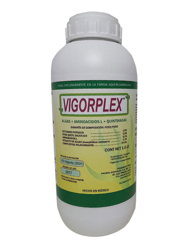 VIGORPLEX - BOTELLA 1L