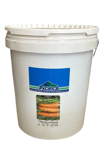 SEMILLAS DE ZANAHORIA NANTES PACIFICA - GRANEL 1LB