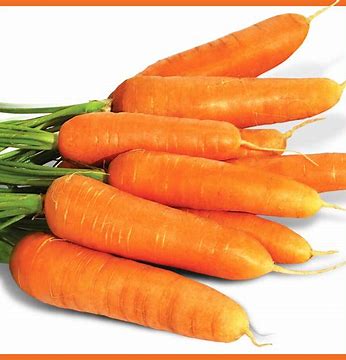 SEMILLAS DE ZANAHORIA NANTES PACIFICA - GRANEL 1LB