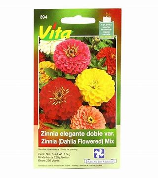 [V395] ZINNIA MEXICANA VAR VITA - PIEZA
