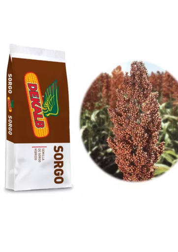 SORGO DKS-321 PONCHO - SACO 20 KG