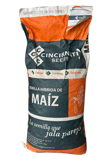 MAIZ BLANCO SAN BENITO - SACO 20 KG 50 ms