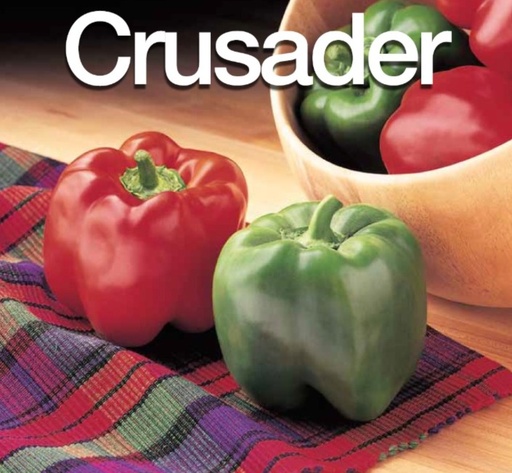 SEMILLA DE PIMIENTO CRUSADER F1 (VERDE/ROJO) - SOBRE 5 MS