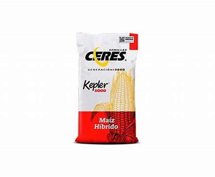 MAIZ KEPLER 60 MS C/CRUISER MAXX (GRANEL)