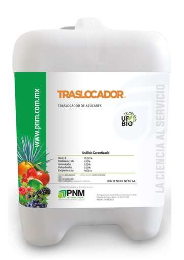 TRASLO BRIX (BORO-MOLIBDENO) GARRAFA 20 L