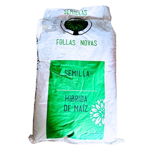 MAIZ TEMPORALERO BLANCO - FN