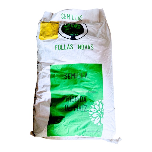 MAIZ TEMPORALERO AMARILLO - FN