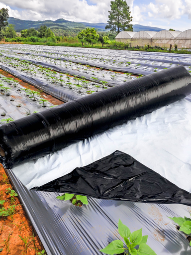 ACOLCHADO NEGRO/BLANCO 1.00 x 915 MTS LISO