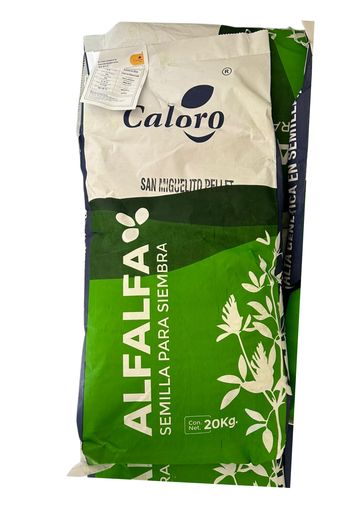 ALFALFA SAN MIGUELITO (CALORO) - SACO 20 KG