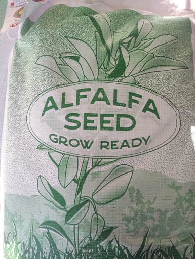 ALFALFA SAN MIGUELITO (SEED) - SACO 20 KG