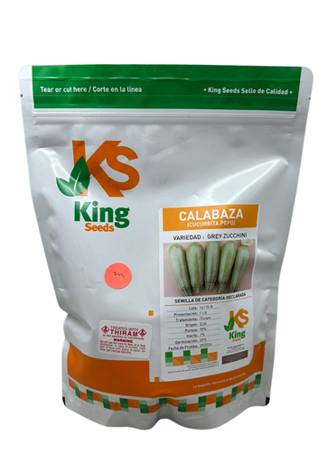 CALABAZA TIPO GREY ZUCCHINI (THIRAM-KING SEEDS) - 1 LB