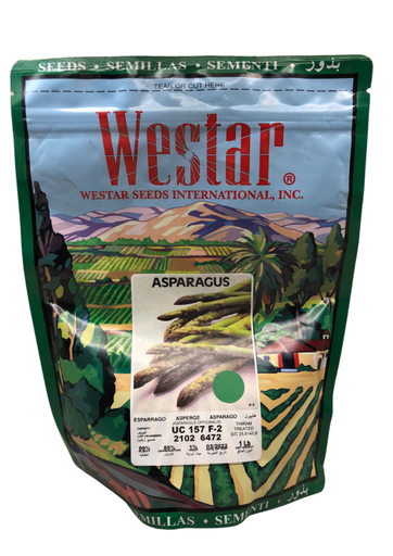 CALABAZA TIPO GREY ZUCCHINI (WESTAR) - 1 LB