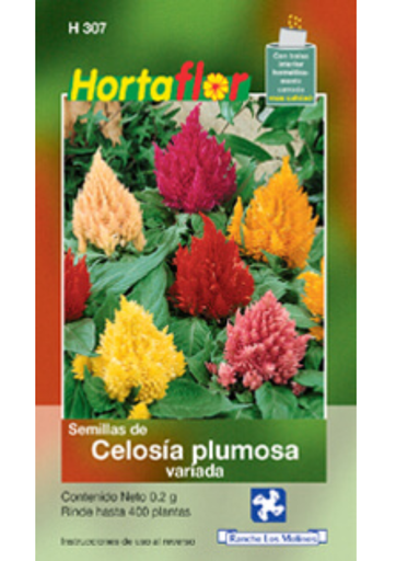 [H307] CELOSIA PLUMOSA VAR HORTAFLOR - PIEZA