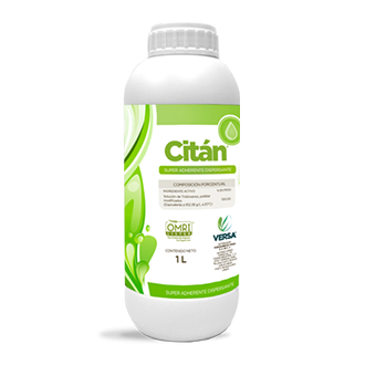 CITAN (VERSA) - 1L